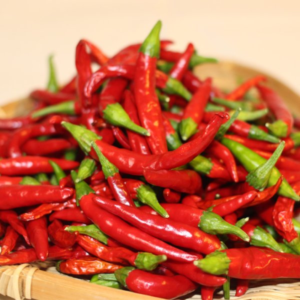 画像5: 柚子胡椒もろみ (5)