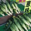 画像6: 【嶽きみ】とうもろこし(10本/1箱)青森県産 (6)