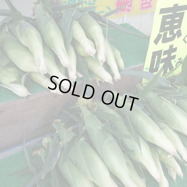 画像6: 【嶽きみ】とうもろこし(30本/1箱)青森県産 (6)
