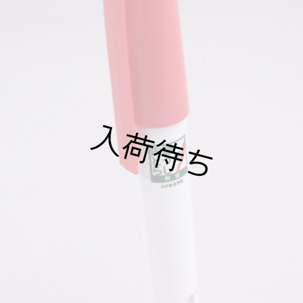 画像3: 内藤とうがらしポケット七味 (3)