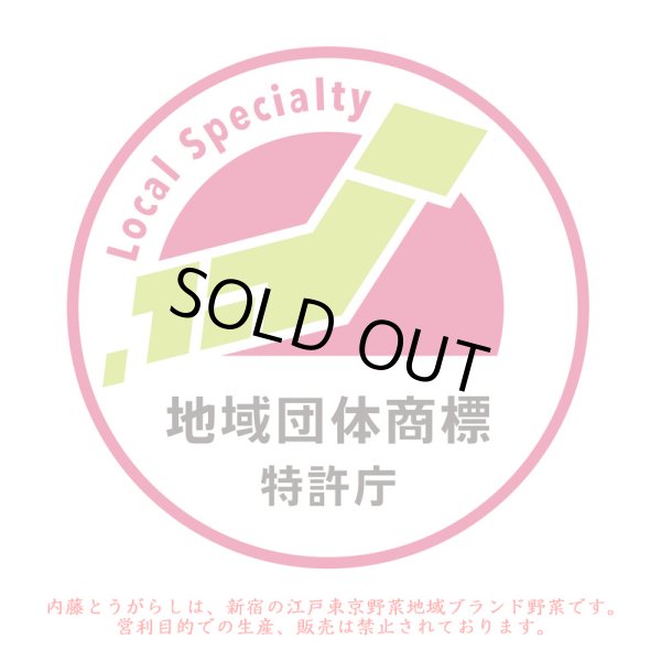 画像3: 内藤とうがらし青の実500g(フレッシュ) (3)