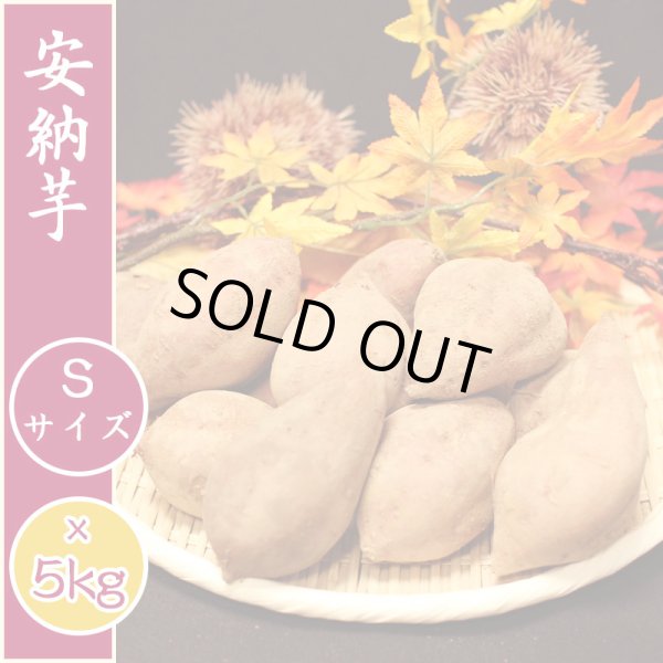 画像1: 【種子島産】安納芋 [Sサイズ] 【５ｋｇ入り】 (1)