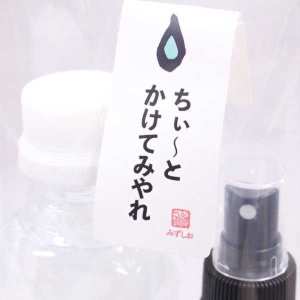 画像3: ちいとかけてみやれ（ひんぎゃの味わい水塩スプレーセット）    (3)