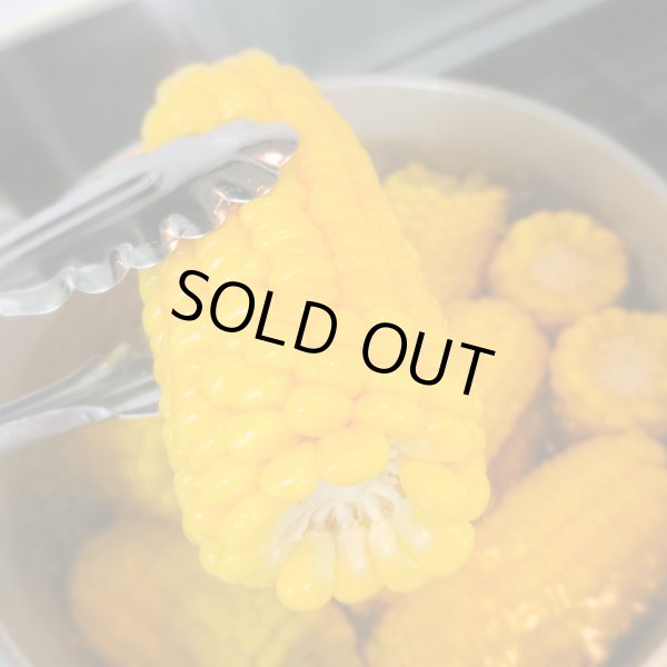 画像5: 【嶽きみ】とうもろこし(20本/1箱)青森県産 (5)