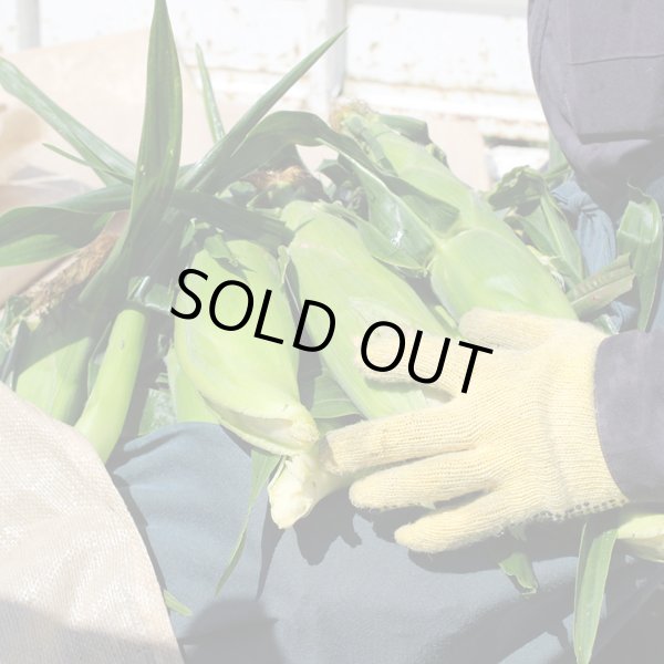 画像2: 【嶽きみ】とうもろこし(30本/1箱)青森県産 (2)