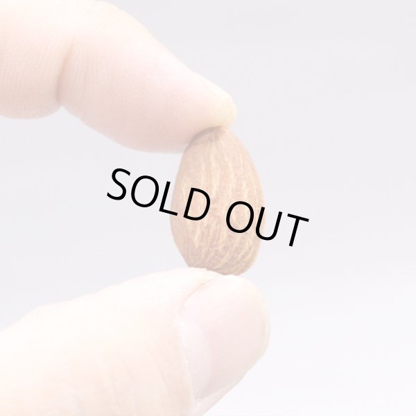 画像4: 燻製アーモンド (4)