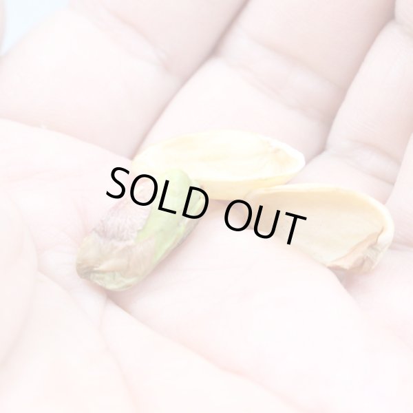 画像4: 燻製ピスタチオ (4)