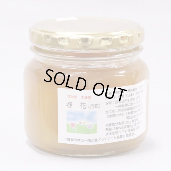 画像1: 生きる国産蜂蜜 [ 春花 ] 268g (1)