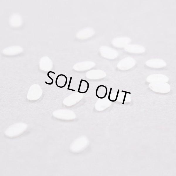 画像4: 大粒米越宝玉（5kg） (4)