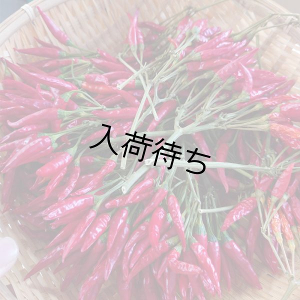 画像6: 内藤とうがらし中挽一色ichimi (6)