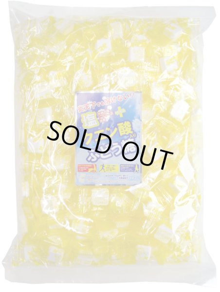 画像1: 塩+クエン酸入りぶどう糖300粒（業務用） (1)