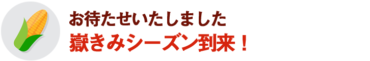 今年もたくさんのご注文誠にありがとうございました