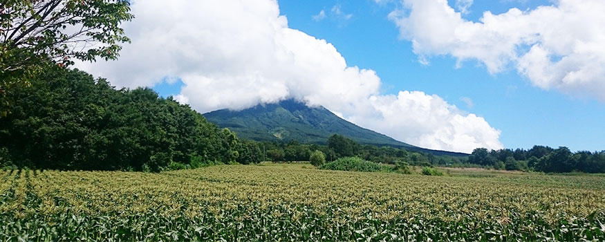 岩木山と嶽きみ