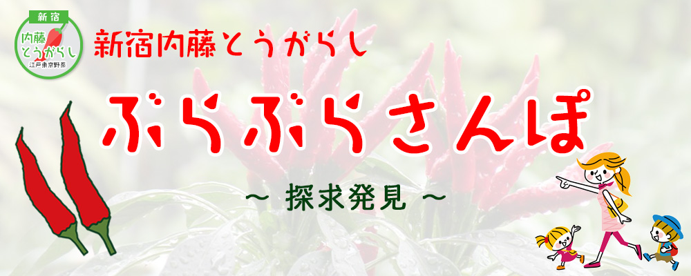 内藤とうがらし ぶらぶらさんぽ画像