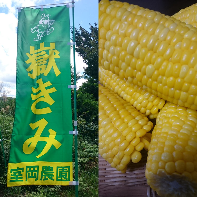 青森県産とうもろこし 嶽きみ 本入り 国産野菜やおいしいものをお届け